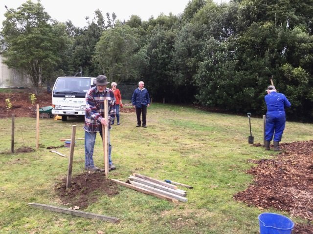 Big stakes to protect the trees. Cambridge Tree Trust.